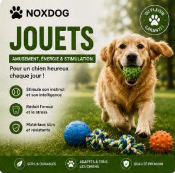 Jouets