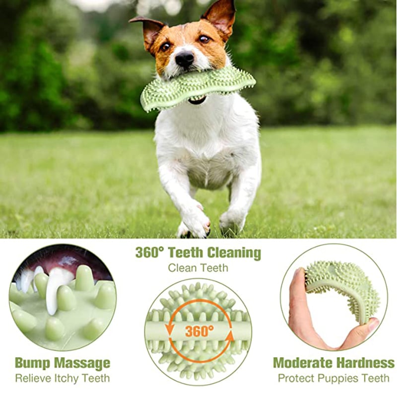 Balle jouet mordante pour chien – Jeu interactif de mastication