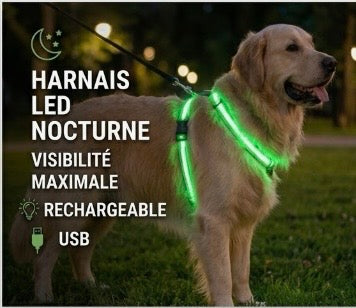 Harnais Lumineux LED Haute Visibilité — Promenade Nocturne Sécurisée