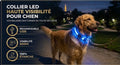 Collier Lumineux LED Rechargeable