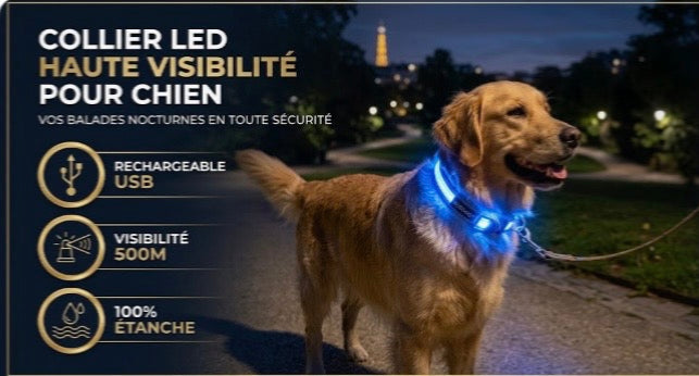 Collier Lumineux LED Rechargeable