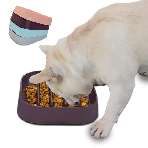 Bol Anti-Glouton pour Chien – Hifrenchies (Café)