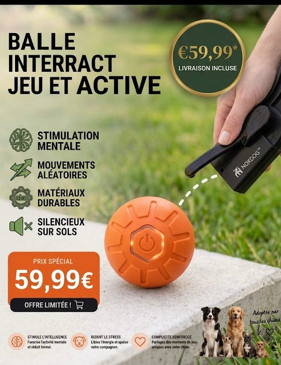 Balle Intelligente Interactive pour Chien — Anti-Ennui & Mouvement Automatique