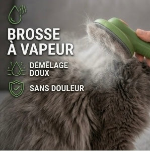 Brosse à Vapeur Massage & Démêlage 3-en-1 — Anti-Poils Volants & Nettoyage Doux