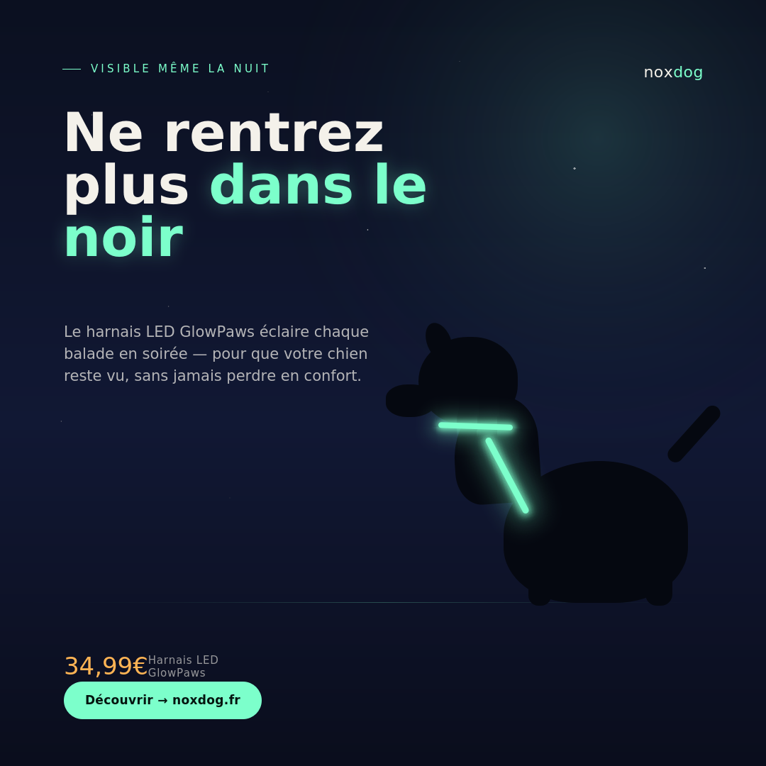 Harnais LED GlowPaws pour Chien