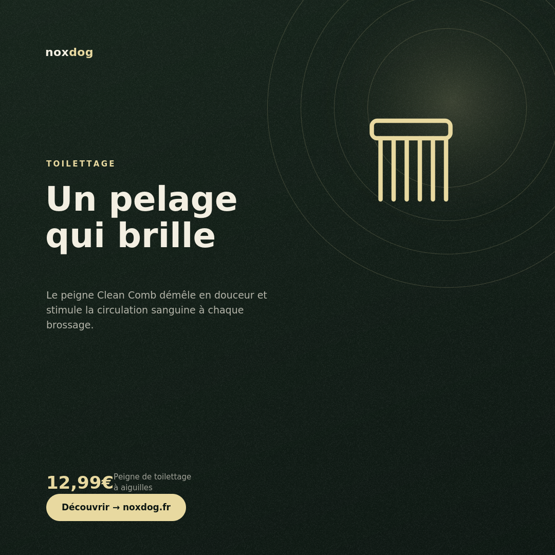 Peigne de Toilettage à Aiguilles pour Chien (Pièce Unique)