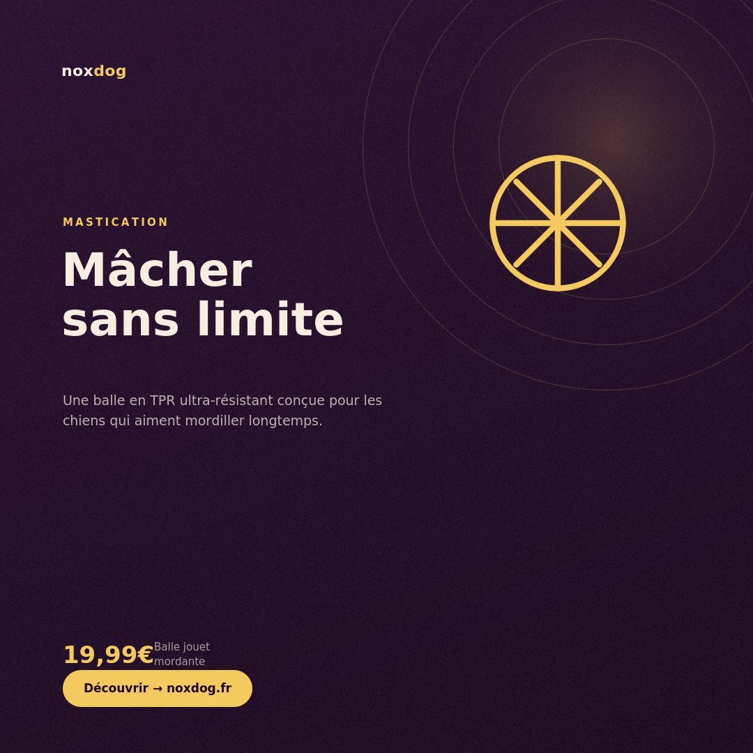 Balle jouet mordante pour chien – Jeu interactif de mastication