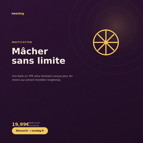 Balle jouet mordante pour chien – Jeu interactif de mastication