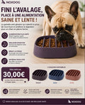 Gamelle Anti-Glouton Ergonomique — Digestion Facile & Anti-Régurgitation
