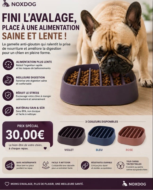 Gamelle Anti-Glouton Ergonomique — Digestion Facile & Anti-Régurgitation