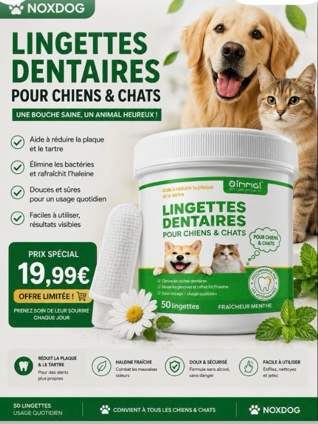 Lingettes Hygiène Dentaire Chien — Anti-Tartre & Haleine Fraîche