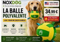 🇺🇸 Ballon Géant Ultra-Résistant pour Chien — Activité Plein Air & Défoulement