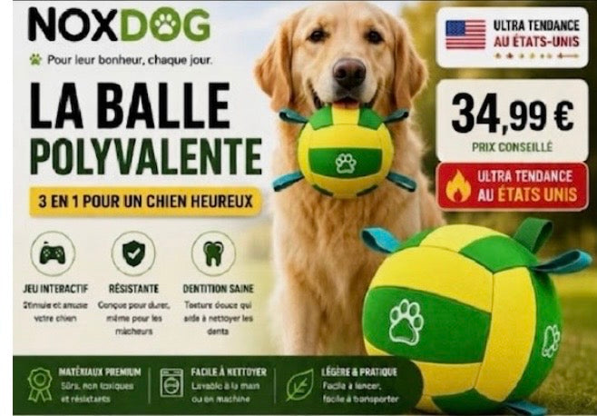 🇺🇸 Ballon Géant Ultra-Résistant pour Chien — Activité Plein Air & Défoulement