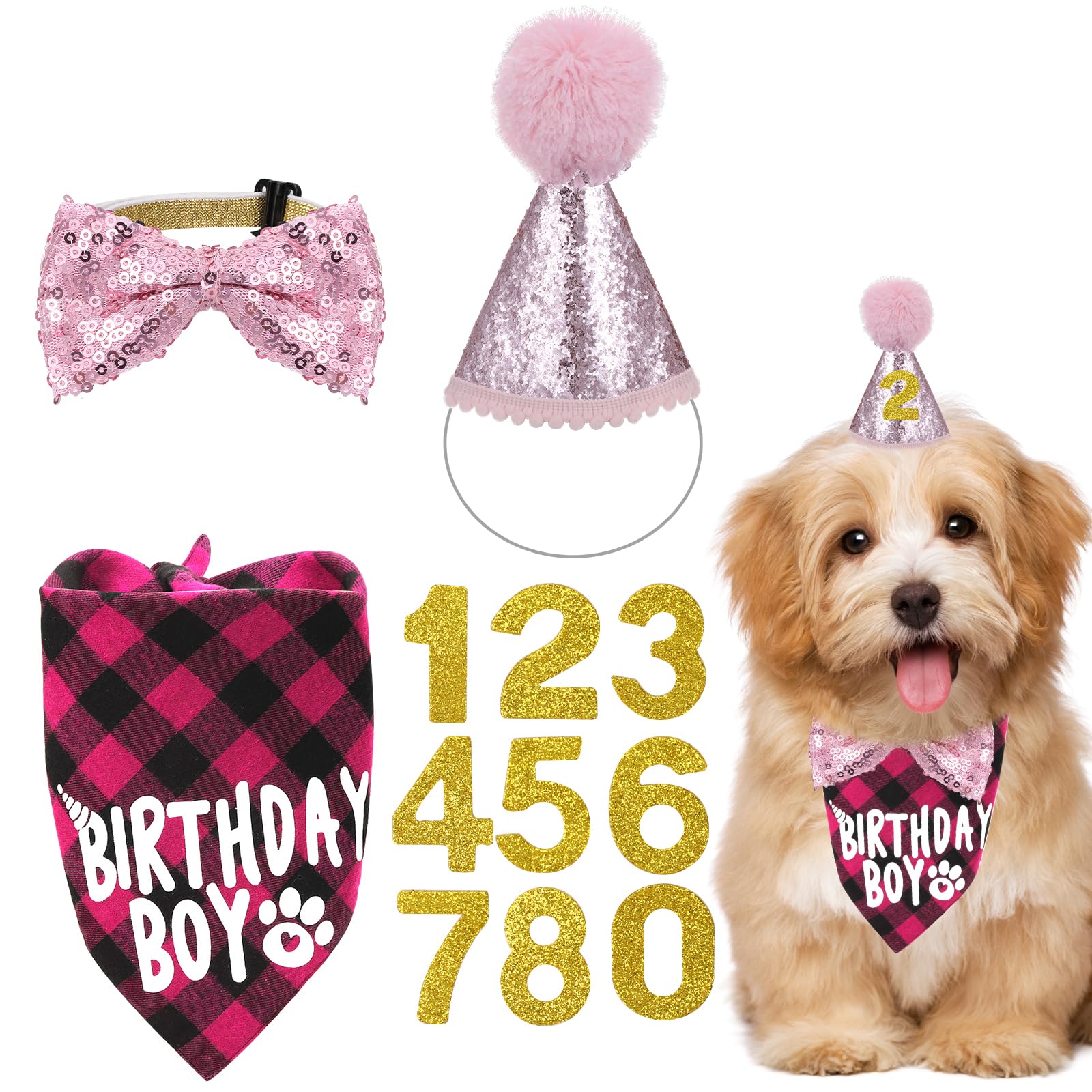 🎉 Kit d'anniversaire rose pour chien