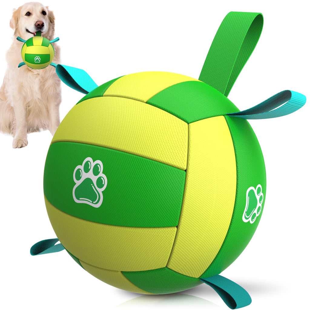 🇺🇸 Ballon Géant Ultra-Résistant pour Chien — Activité Plein Air & Défoulement