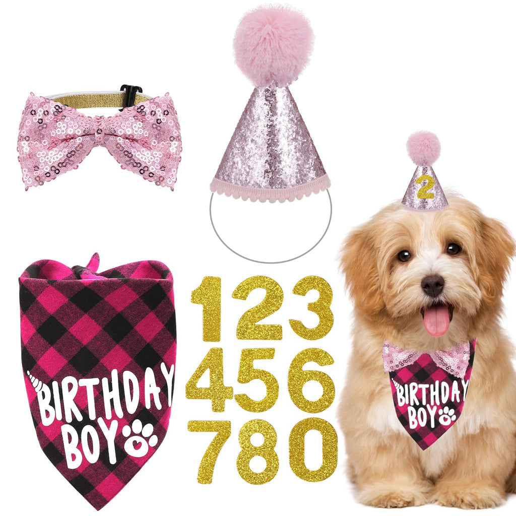 🎉 Kit d'anniversaire rose pour chien