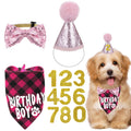 🎉 Kit d'anniversaire rose pour chien